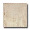 Pastorelli Pastorelli Sandstone 6 X 6 Bundanoon Tile  &  Stone