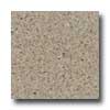 Santa Regina Santa Regina Architectural 16 X 16 (natural) Sand Dollar Terrazz