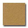 Santa Regina Santa Regina Designer 16 X 16 (polished) Antique Gold Terrazzo T