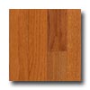 Zickgraf Zickgraf The Franklin Collection 5 Oak Butterscotch Hardwood Flo