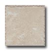 Cerdomus Cerdomus Pietra D Assisi 8 X 8 Bianco Tile  &  Stone