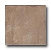 Pastorelli Pastorelli Sandstone 6 X 12 Anrochte Tile  &  Stone