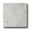 Monocibec Ceramica Monocibec Ceramica Graal 20 X 20 Bors Tile  &  Stone