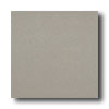 American Olean American Olean Quarry Naturals 6 X 6 Shadow Gray Tile  &  Stone