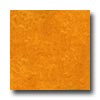 Forbo Forbo Marmoleum Click Plank Golden Sunset Vinyl Flooring
