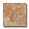 Geo Ceramiche Geo Ceramiche Celtic 20 X 20 Cotto Tile  &  Stone