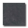 Ergon Tile Ergon Tile Alabastro Evo 16 X 16 Natural Carbone Tile  &  Stone