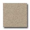 Santa Regina Santa Regina Architectural 16 X 16 (antique) Speckled Tan Terraz