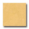 Forbo Forbo Marmoleum Click Tile Natural Com Vinyl Flooring