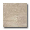 Ergon Tile Ergon Tile Alabastro Evo 16 X 16 Natural Grigio Tile  &  Stone