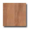 Earth Werks Earth Werks Wood Antique Plank Nwt9403cdbe Vinyl Flooring