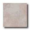Tesoro Tesoro Montebello 18 X 18 Marfil Tile  &  Stone