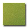 Amtico Amtico Standard Stardust 12 X 12 Stardust Kiwi Vinyl Flooring