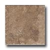 Geo Ceramiche Geo Ceramiche Camelot 20 X 20 Noce Tile  &  Stone