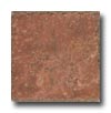 Cerdomus Cerdomus Pietra D Assisi 6 X 6 Rosso Tile  &  Stone