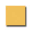 Interceramic Interceramic Bold Tones 4 X 4 Goldenrod Tile  &  Stone