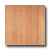 Armstrong Armstrong Arbor Art 4 X 36 Amber Maple Medium Vinyl Flooring