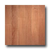 Armstrong Armstrong Arbor Art 4 X 36 Natural Beech Medium Vinyl Flooring