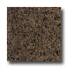 Daltile Daltile Granite 18 X 18 Tropical Brown Tile  &  Stone