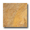 Ragno Ragno Burgundy 6 X 6 Gold Tile  &  Stone