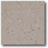 Daltile Porcealto (textured) 12 X 12 Grigio Elba Tile & Stone