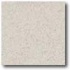 Daltile Porcealto (polished) 12 X 12 Bianco Castiglia (grani) Ti