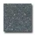 Santa Regina Architectural 16 X 16 (polished) Charcoal Terrazzo