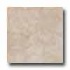 Tesoro Forum 20 X 20 Ivory Tile  and  Stone