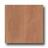 Earth Werks Wood Antique Plank Nwt0403cdbe Vinyl F