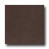 Daltile Kimona Silk 12 X 12 Chai Tea Tile & Stone