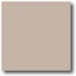 Daltile Natural Hues 4 X 4 Beige Pinpoint Tile & Stone