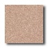 Crossville Cross-slate 6 X 6 Brown Tweed Tile  and  St