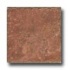 Cerdomus Pietra D Assisi 12 X 12 Rosso Tile & Stone