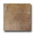 Cerdomus Denver 6.5 X 6.5 Tan Tile & Stone