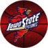 Logo Rugs Iowa State University Iowa State Basketb