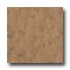 Alfagres Pompei 12 X 12 Moca Tile  and  Stone