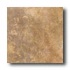 Ascot Nature 13 X 13 Brown Tile  and  Stone