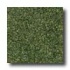 Milliken Tesserae Essentials Cypress Carpet Tiles