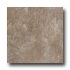 Laufen Aspen 12 X 12 Olive Tile & Stone