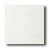 Daltile Devonshire 12 X 12 White Tile  and  Stone