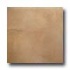 Italgres Marbella 18 X 27 Beige Tile & Stone