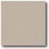 Daltile Porcealto (polished) 12 X 12 Grigio (solid) Tile & Stone