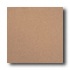 American Olean Quarry Naturals 6 X 6 Desert Tile  and