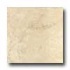 Portobello Baschi 12 X 12 Crema Tile & Stone
