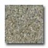 Santa Regina Architectural 16 X 16 (polished) Evergreen Terrazzo