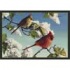 Milliken Hautman Collection 3 X 4 Cardinals Area Rugs