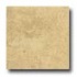 Daltile Diamante Unpolished 12 X 12 Sabbia Unpolished Tile & Sto