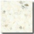 Fritztile Custom Ct300 Aztec White Tile & Stone