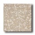American Olean Unglazed Ceramic Mosaics - Abrasive 1 X 1 Driftwo