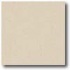 Daltile Porcealto (textured) 12 X 12 Beige (graniti) Tile & Ston